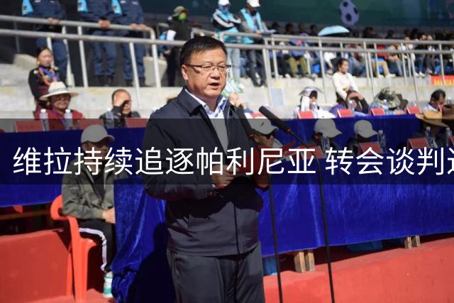 维拉持续追逐帕利尼亚 转会谈判进入关键阶段